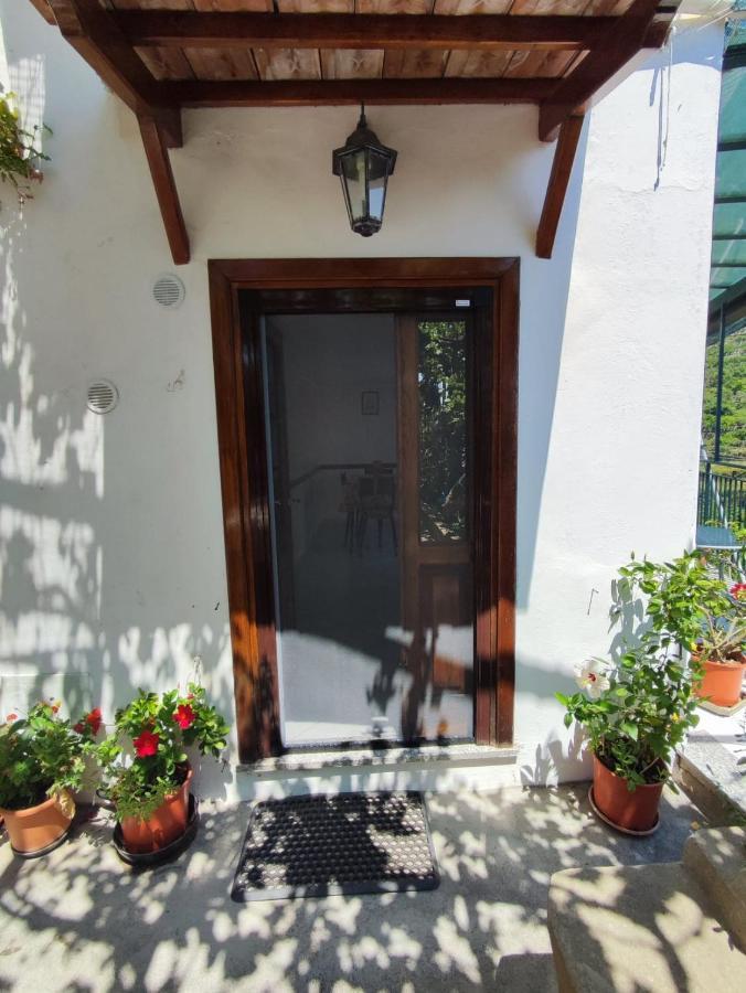 Eden Tra I Limoni Apartamento Minori Exterior foto