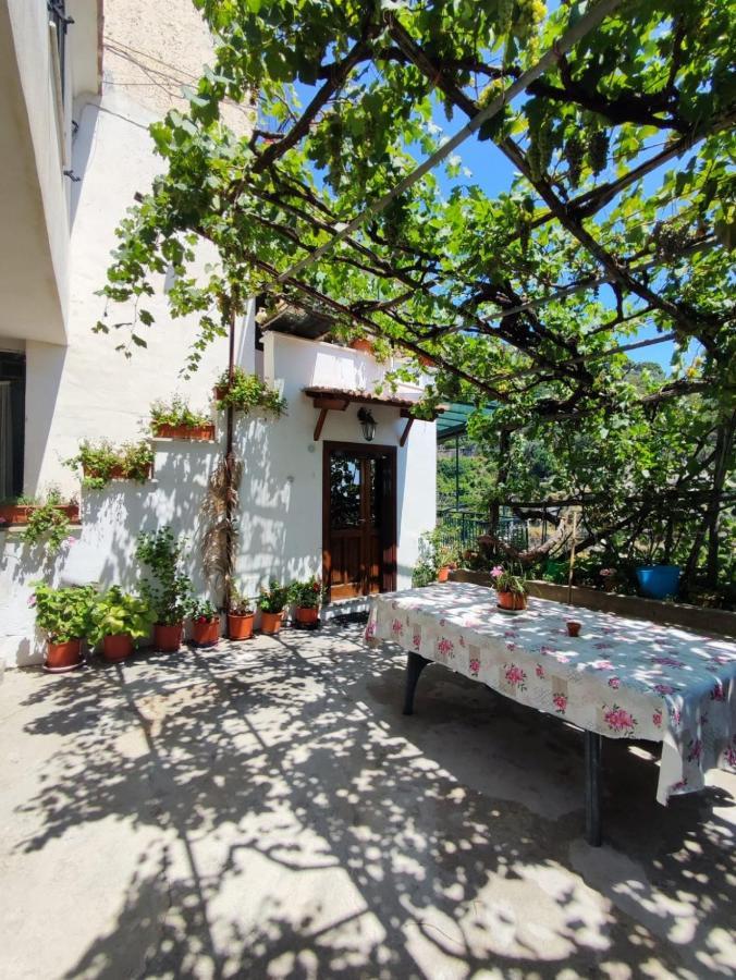 Eden Tra I Limoni Apartamento Minori Exterior foto