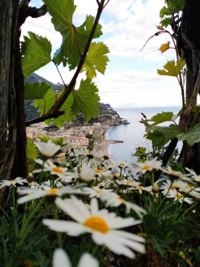Eden Tra I Limoni Apartamento Minori Exterior foto
